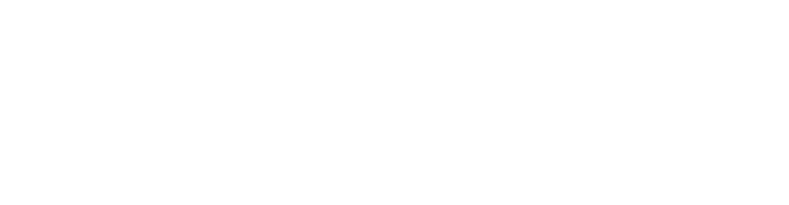 Integrator Plus Logo White 2023